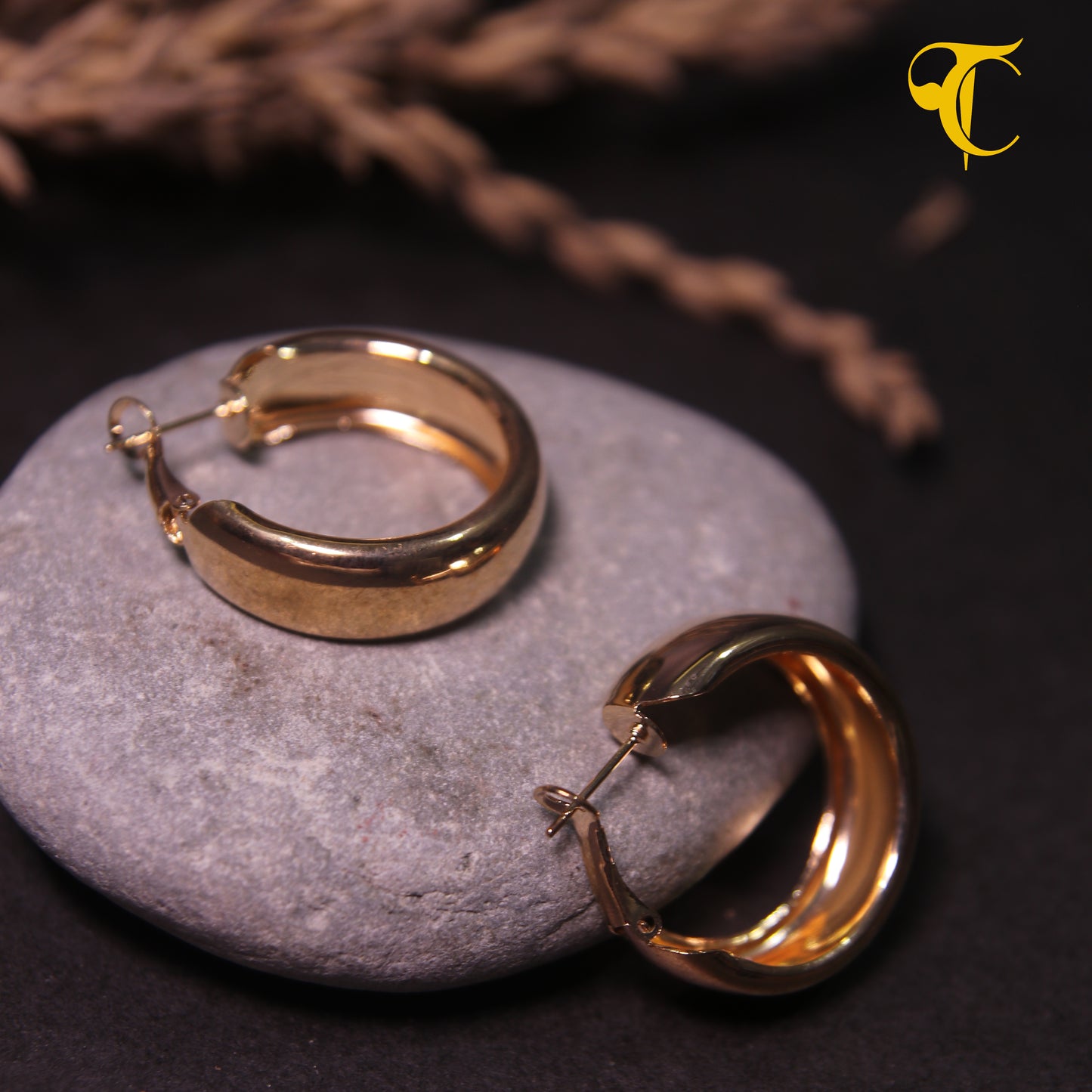 Golden Hook Earrings