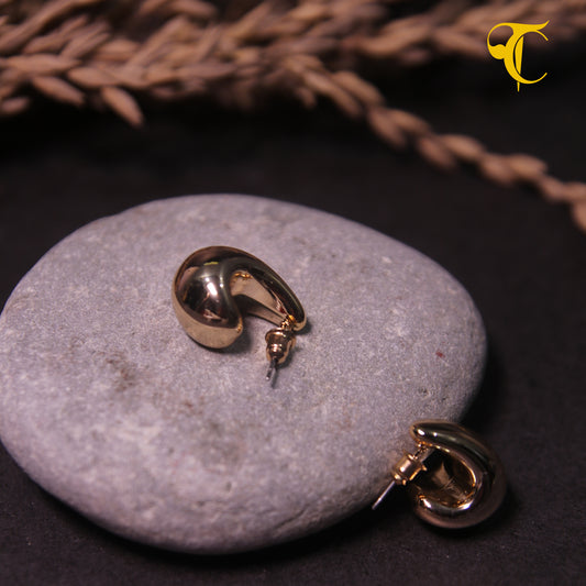 Golden Hook Earrings