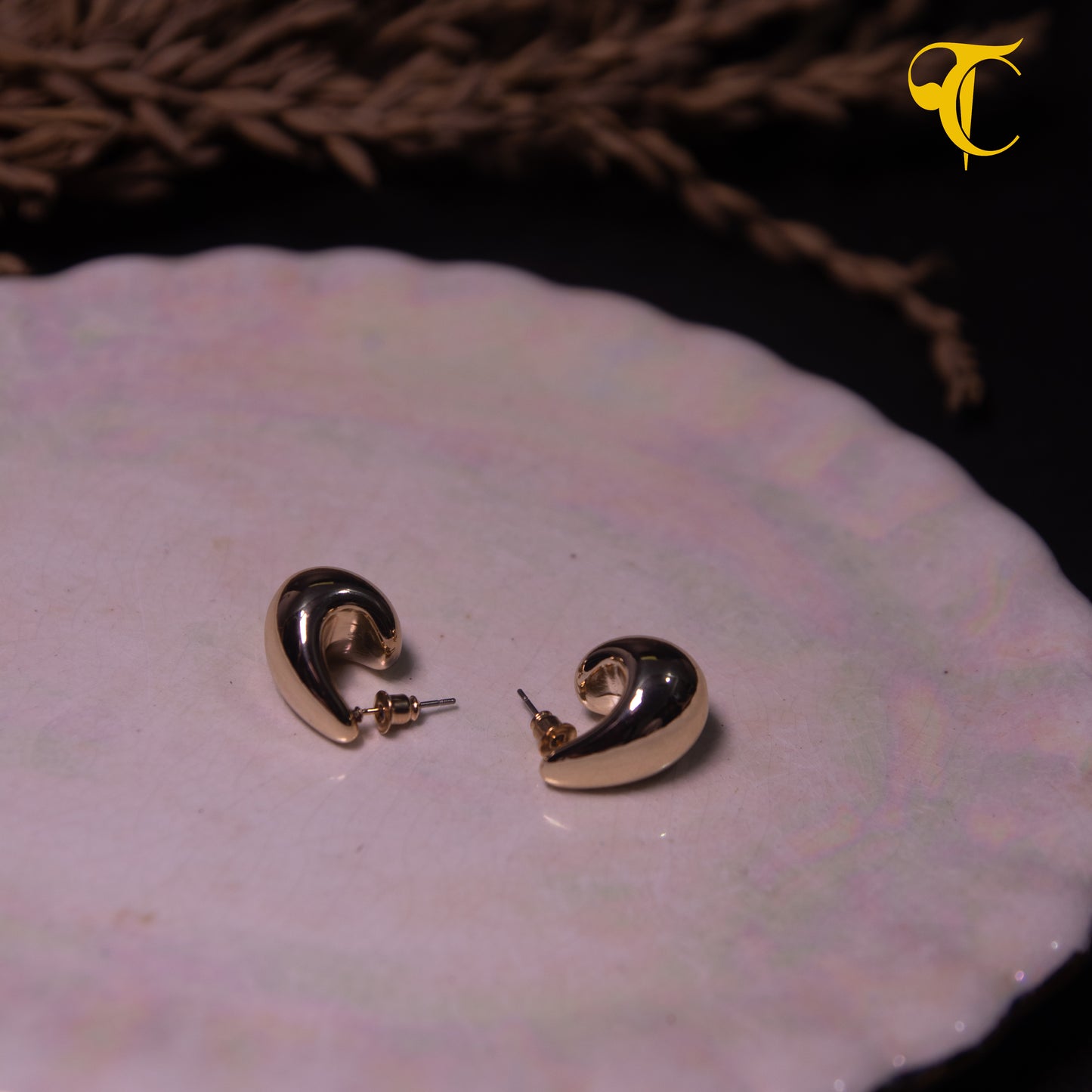 Golden Hook Earrings