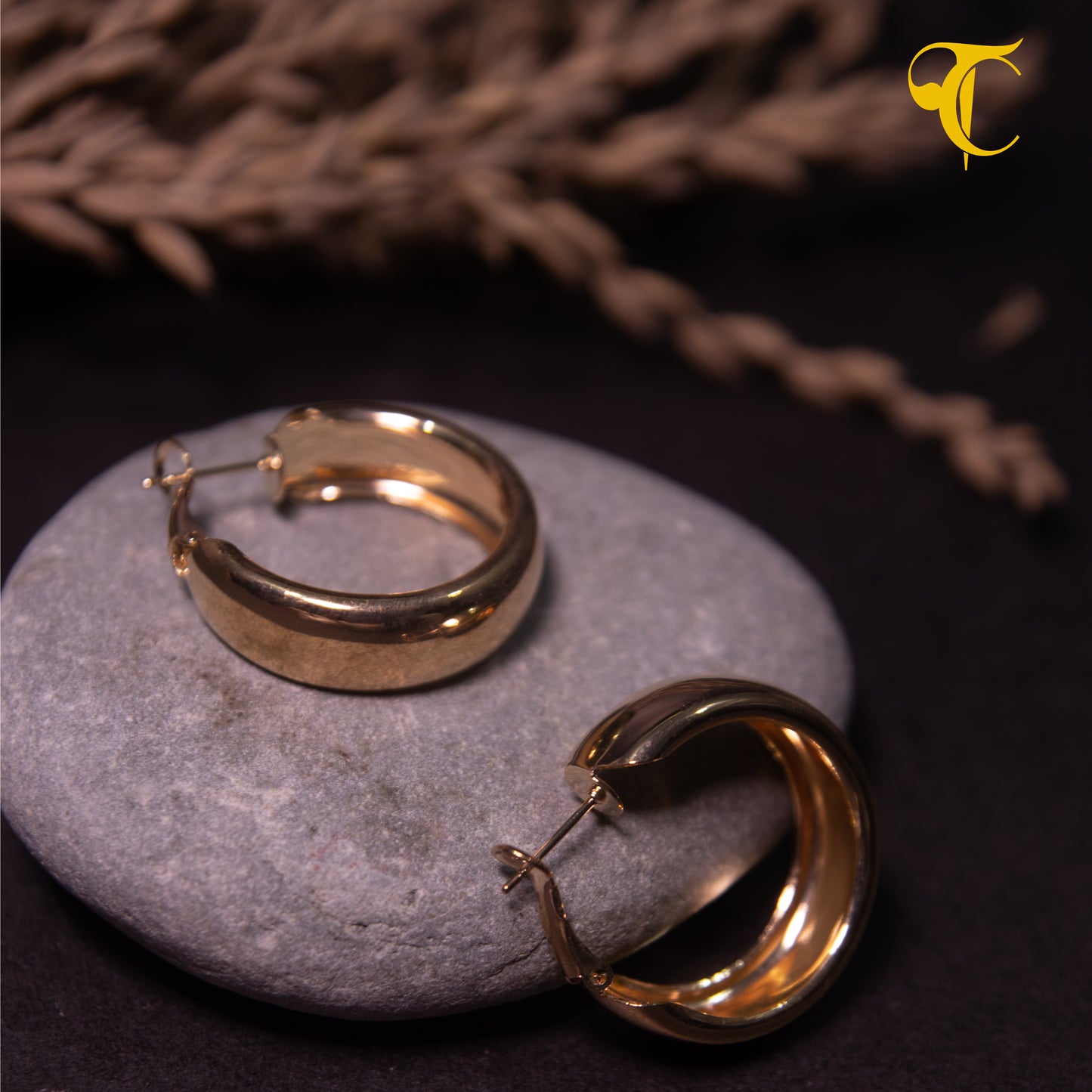 Golden Hook Earrings