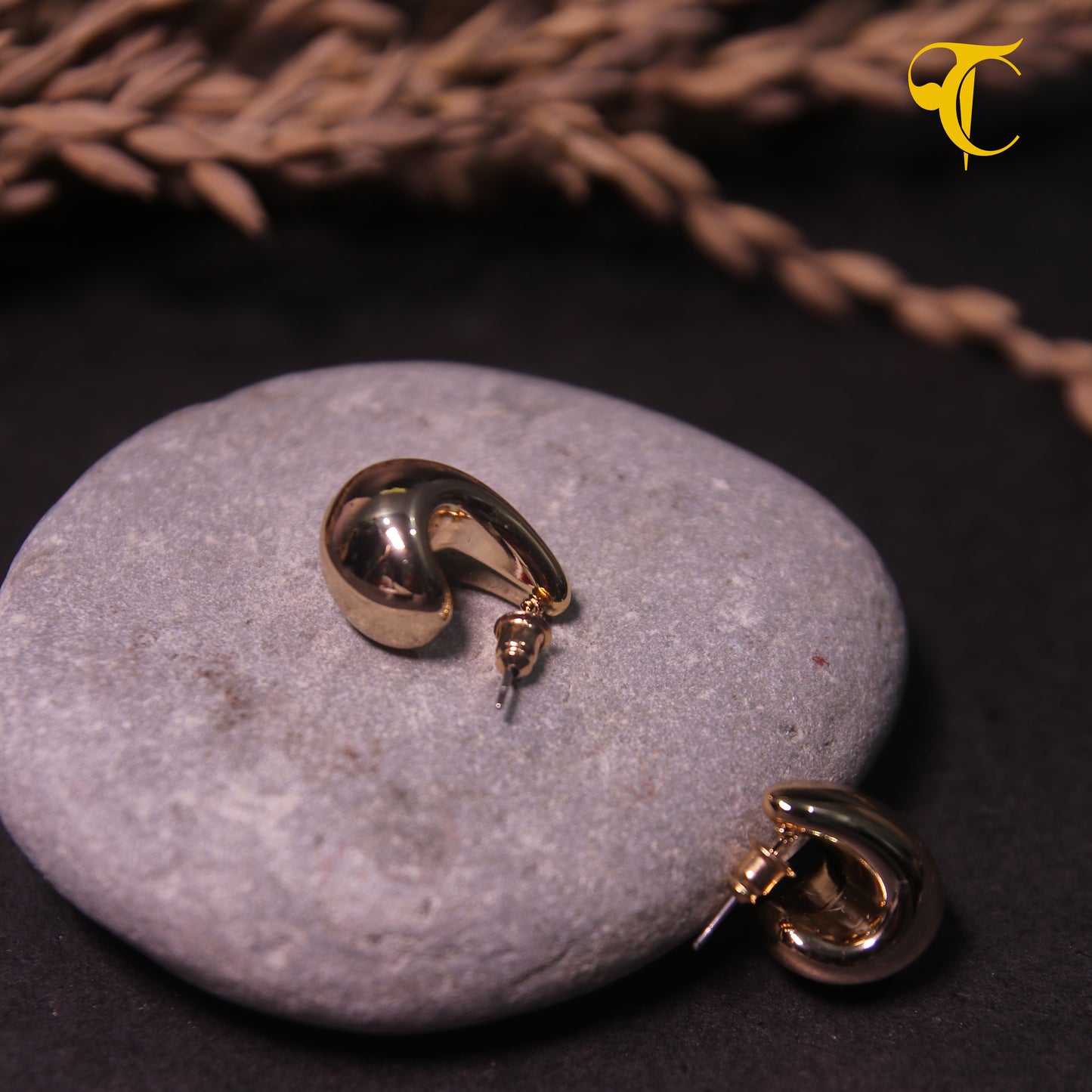 Golden Hook Earrings