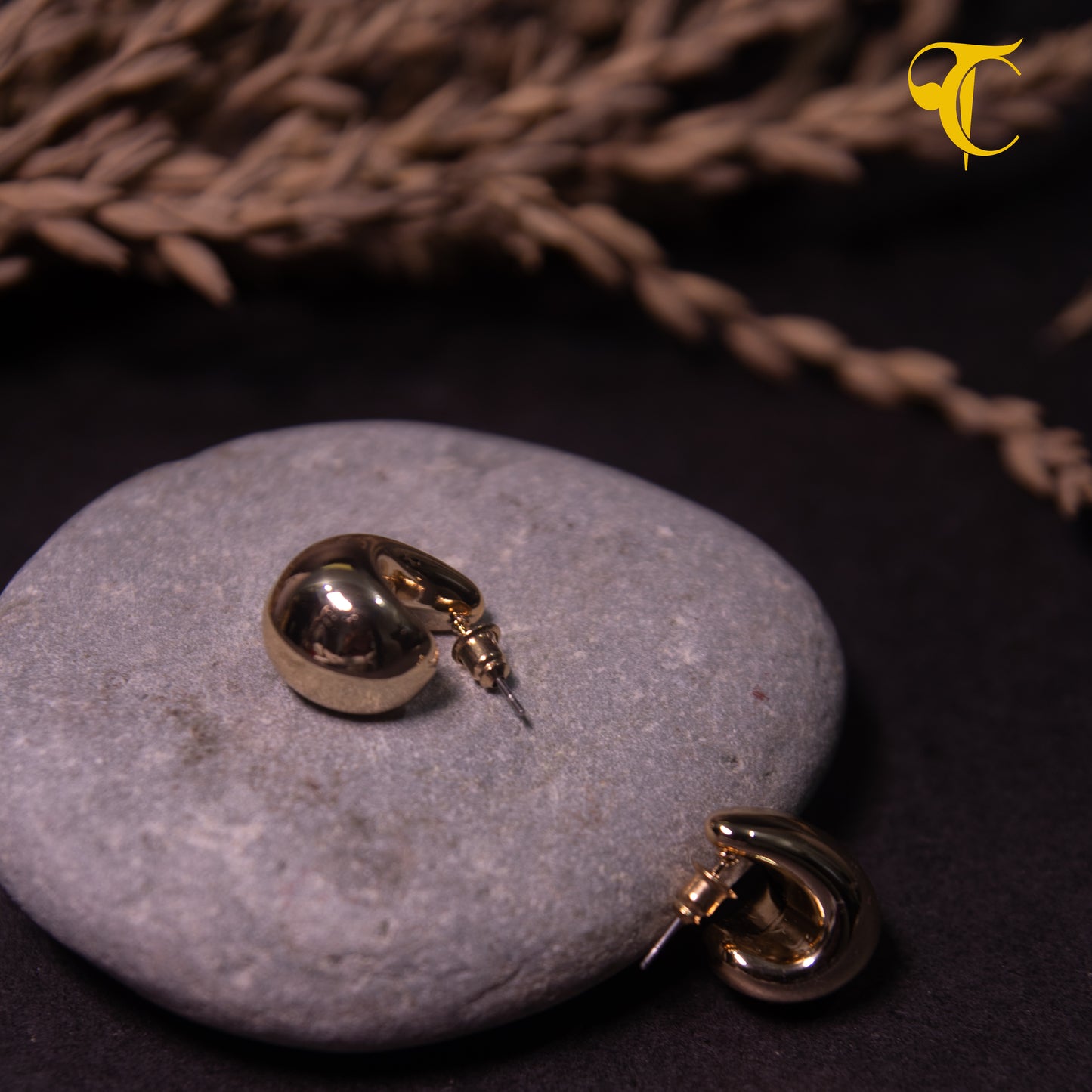 Golden Hook Earrings